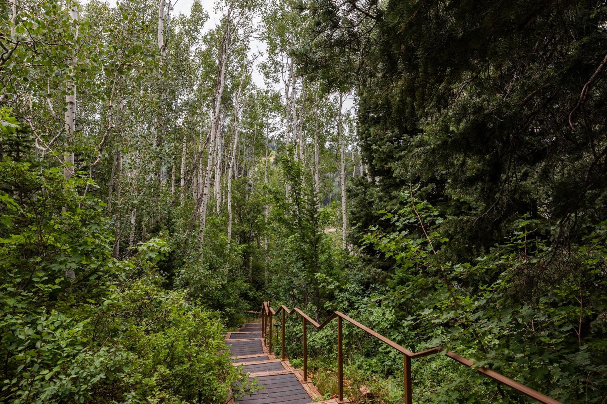 Deer Valley Little Belle Ultimate Ski Getaway, Sleeps 14, Luxury Design, Private Hot Tub, Park City Exterior foto